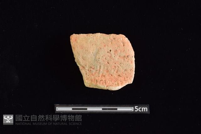 陶罐藏品圖，第1張