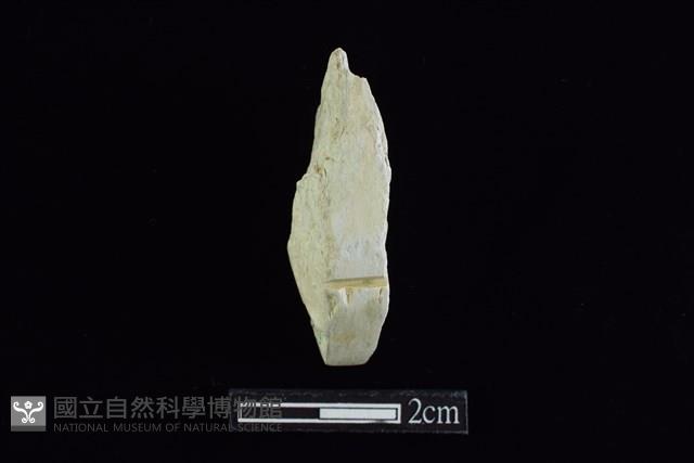 錛鑿形器藏品圖，第1張
