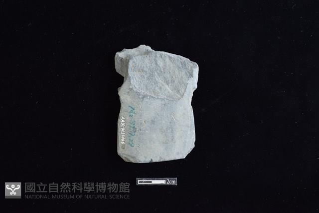 戈形器藏品圖，第2張