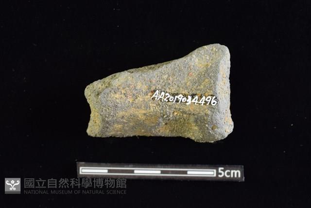 陶罐藏品圖，第2張