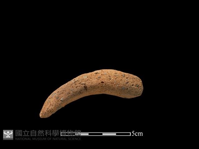 陶把藏品圖，第1張