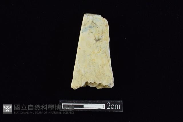 錛鑿形器藏品圖，第1張