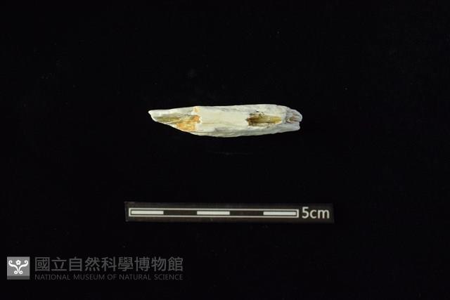 玉料藏品圖，第2張