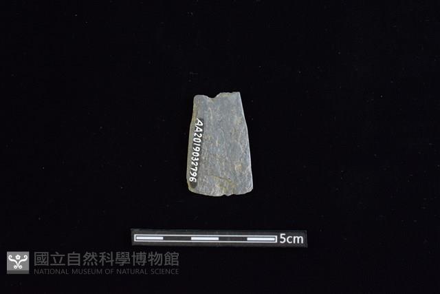 矛鏃形器藏品圖，第2張