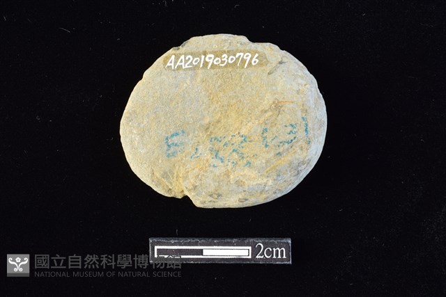 網墜藏品圖，第2張