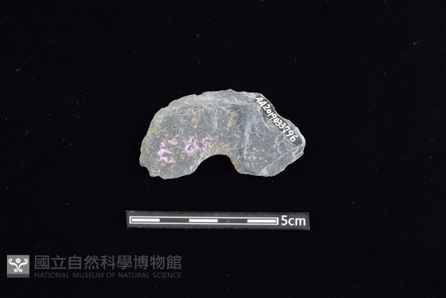 穿孔石板藏品圖，第2張