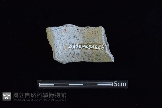 陶瓶藏品圖，第2張