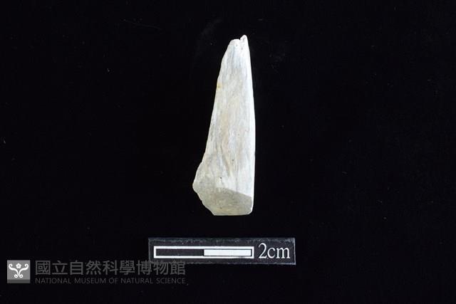 錛鑿形器藏品圖，第1張
