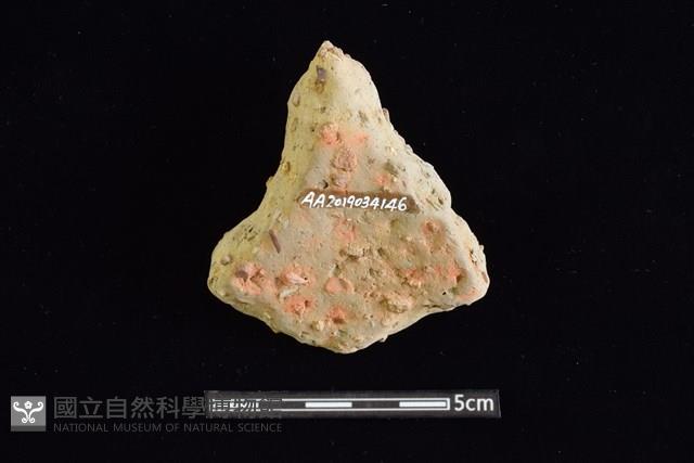 陶罐藏品圖，第2張