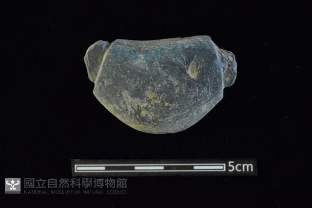 網墜藏品圖，第1張