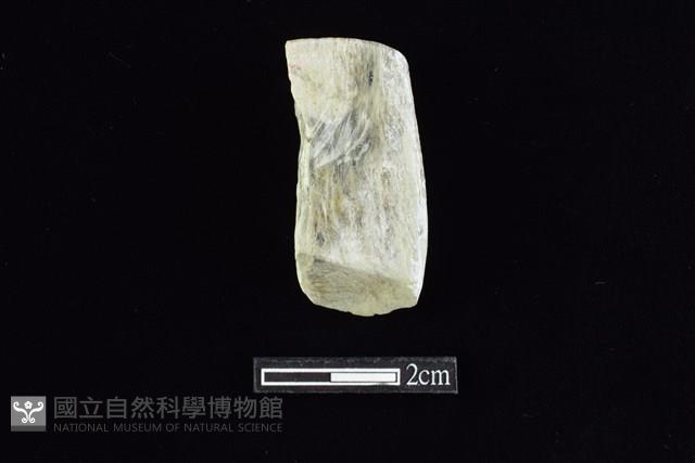 錛鑿形器藏品圖，第1張