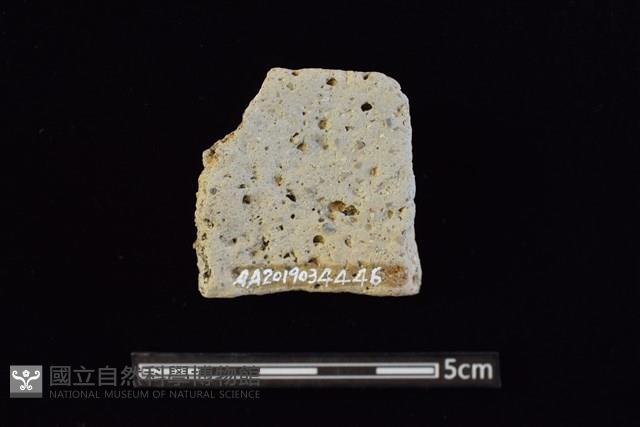 陶罐藏品圖，第2張