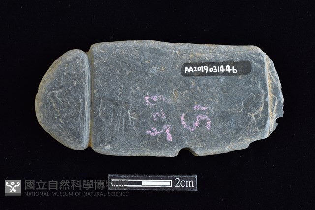 網墜藏品圖，第2張