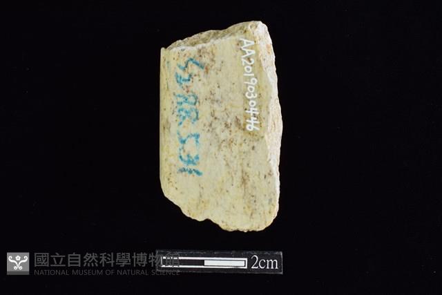 錛鑿形器藏品圖，第2張