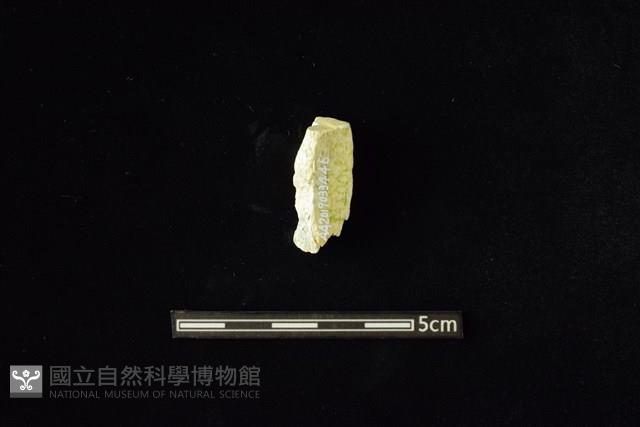 玉料藏品圖，第2張