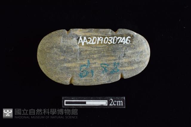 網墜藏品圖，第2張