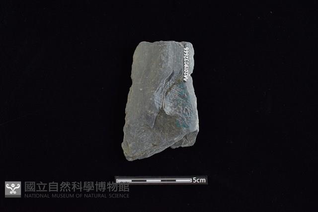 戈形器藏品圖，第2張