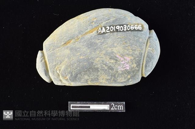 網墜藏品圖，第2張