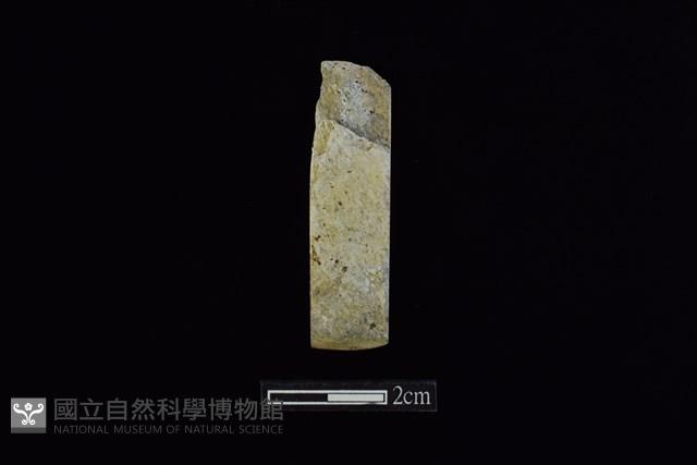 錛鑿形器藏品圖，第1張