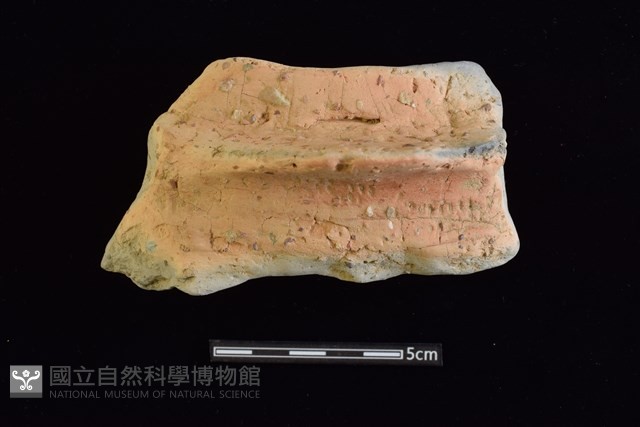 陶罐藏品圖，第1張