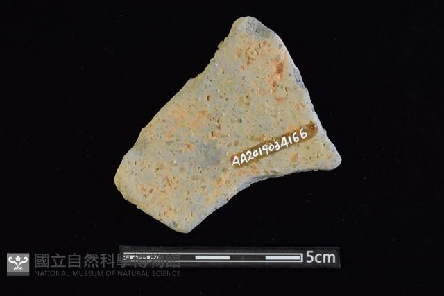 陶片藏品圖，第2張