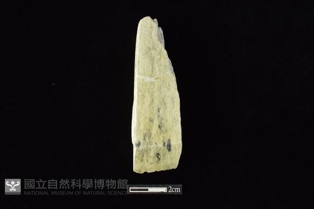 錛鑿形器藏品圖，第1張