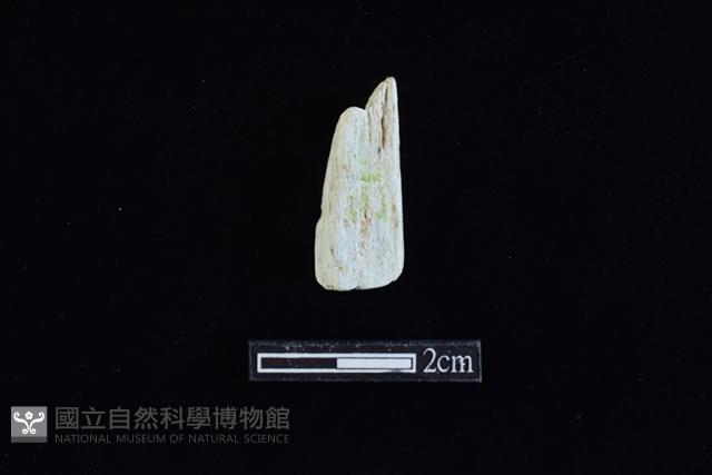 錛鑿形器藏品圖，第2張