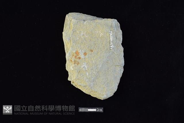 斧鋤形器藏品圖，第2張