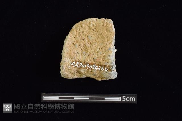 陶罐藏品圖，第2張