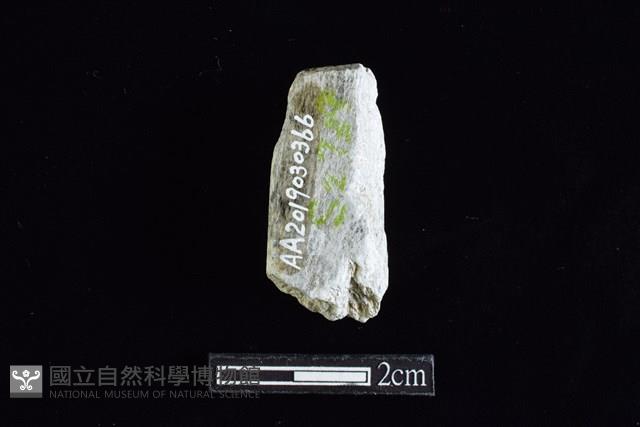 錛鑿形器藏品圖，第2張