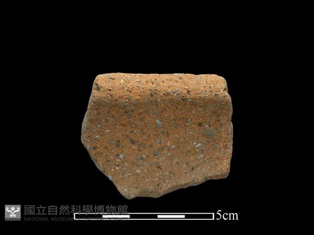 Accession Number:BY-2017-0766 Collection Image, Figure 2, Total 2 Figures