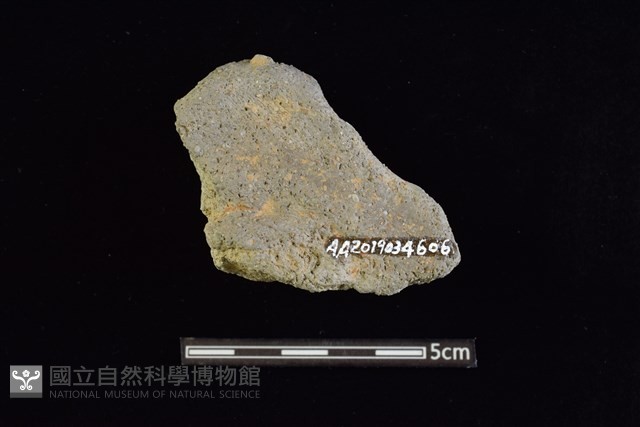 陶片藏品圖，第2張