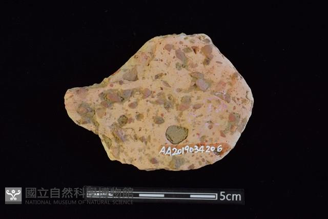 陶片藏品圖，第2張