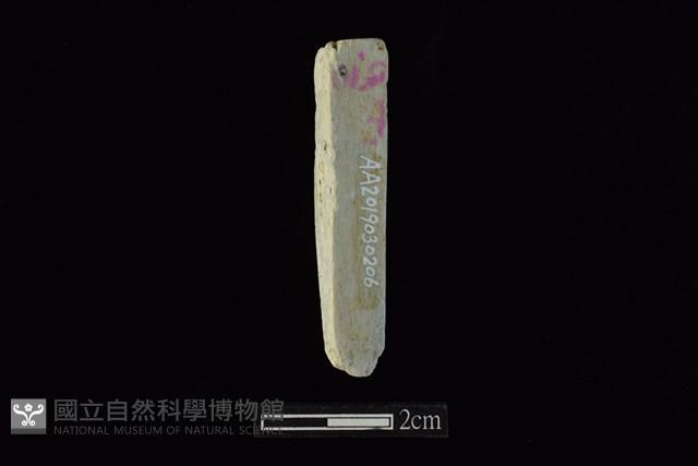 錛鑿形器藏品圖，第2張