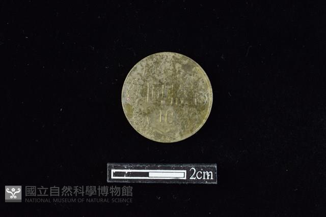 錢幣藏品圖，第2張