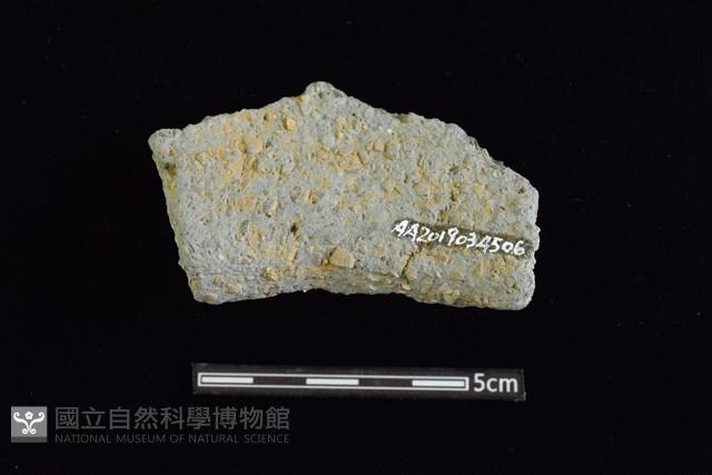 陶罐藏品圖，第2張