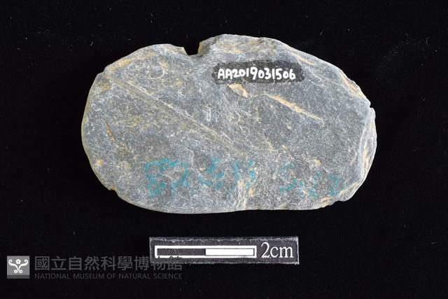 網墜藏品圖，第2張