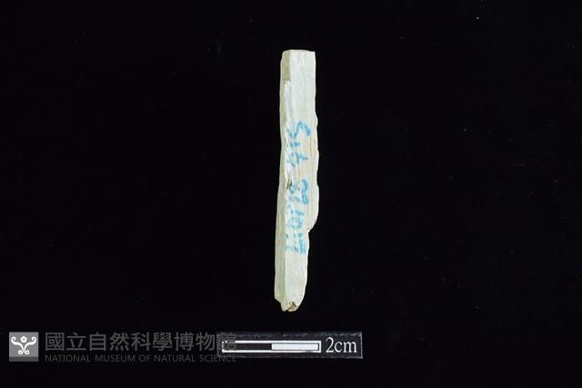 錛鑿形器藏品圖，第2張