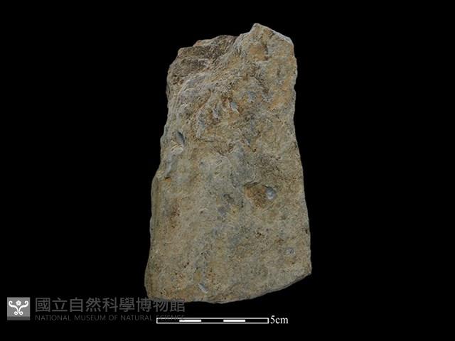 斧鋤形器藏品圖，第2張