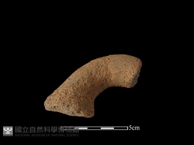 Accession Number:BY-2017-0906 Collection Image, Figure 1, Total 2 Figures