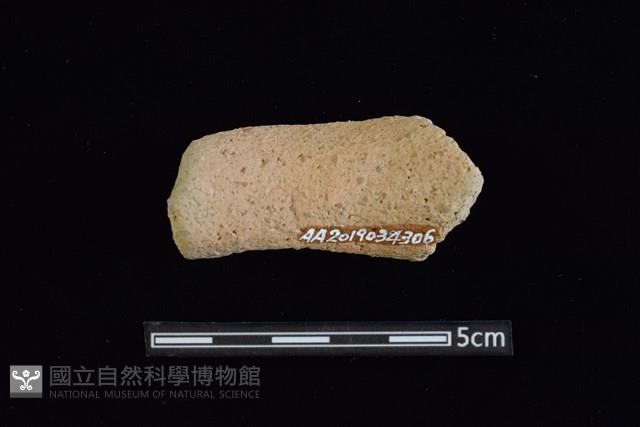 陶罐藏品圖，第2張