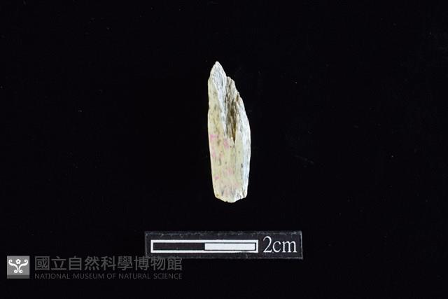 錛鑿形器藏品圖，第2張