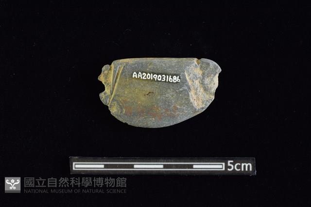 網墜藏品圖，第2張