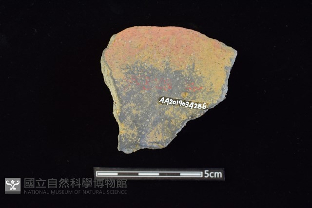 陶蓋鈕藏品圖，第2張