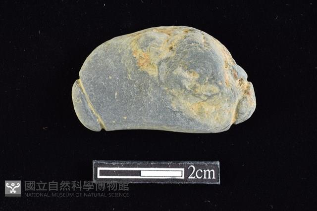 網墜藏品圖，第1張