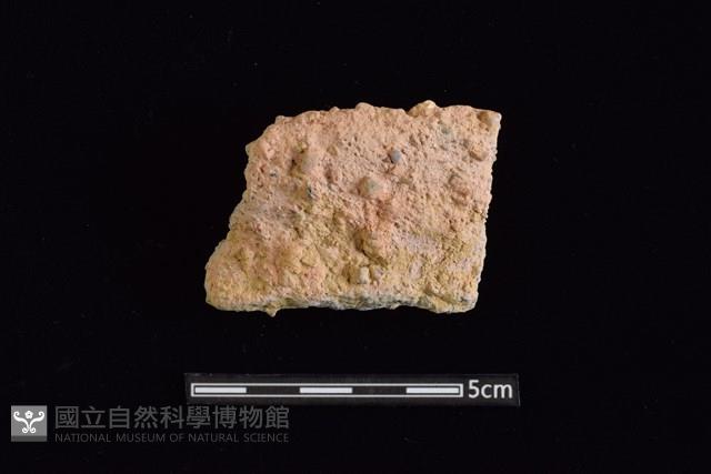 陶罐藏品圖，第1張