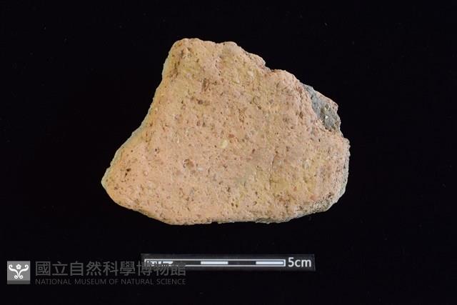 陶片藏品圖，第1張