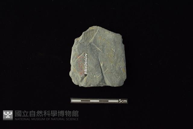 戈形器藏品圖，第2張