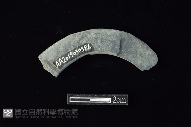 石環藏品圖，第2張