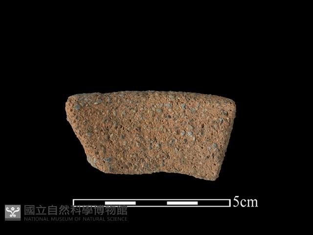 Accession Number:BY-2017-0586 Collection Image, Figure 2, Total 2 Figures